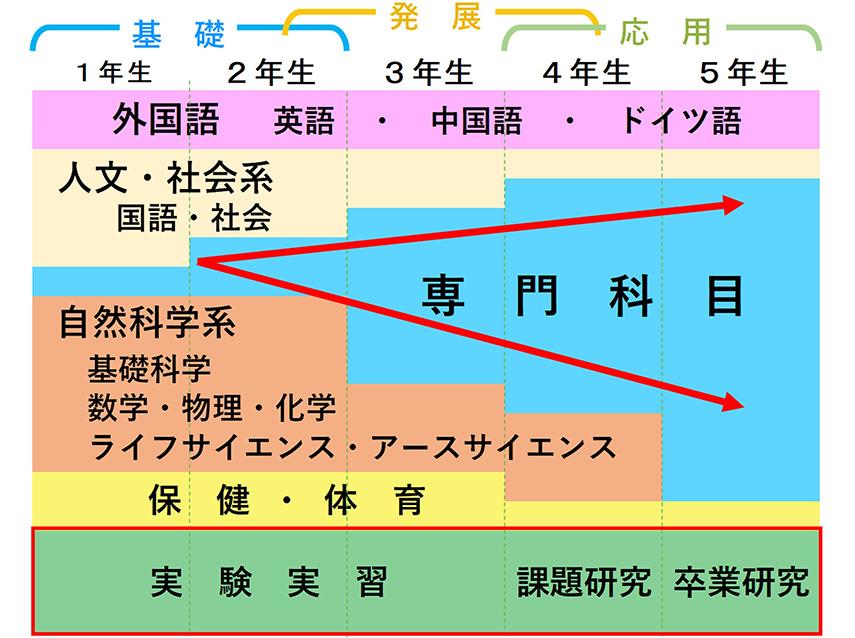 普通科目に加えて学年が上がるごとに専門科目も増えていく（卒業研究もある）楔形のカリキュラム